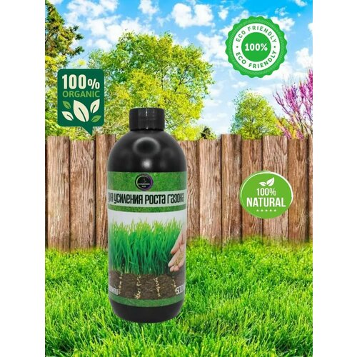 Crazy Jack Green Lawn    500, ,    780 