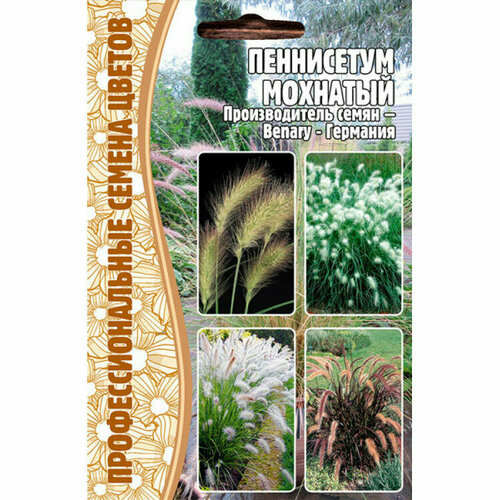    (Pennisetum villosum) (10 ), ,    210 