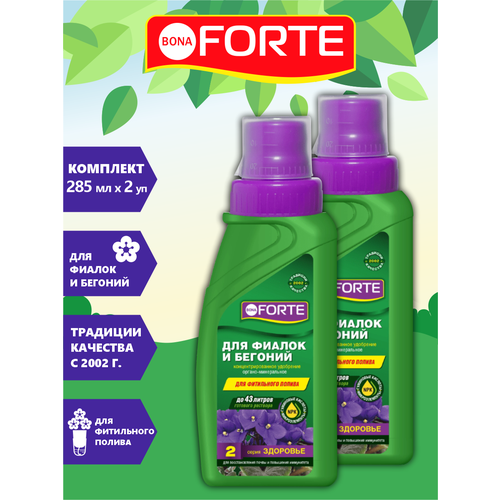  Bona Forte       285 . x 2 . 479