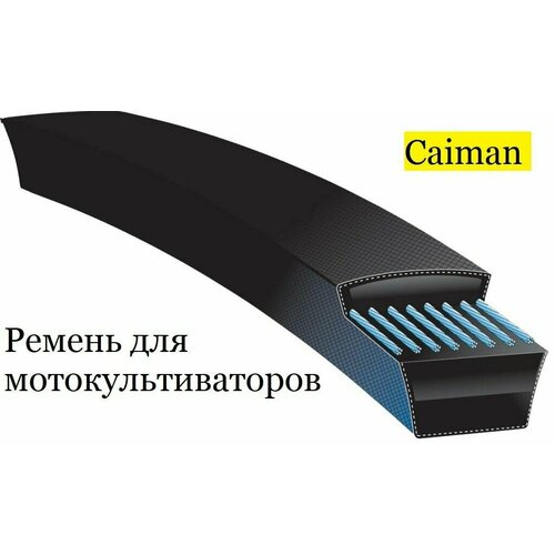    CAIMAN ELITE 60S D2, 0306030002 647