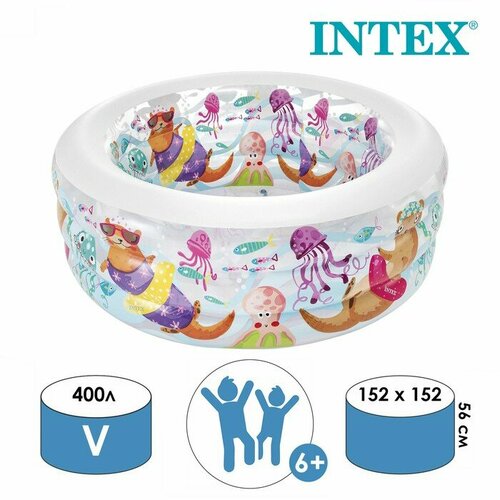  Intex , 15256  (58480), ,    6985 