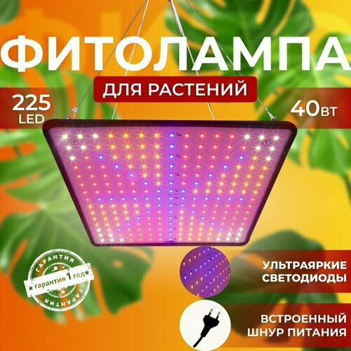              Quantum board 40  225 LED 3000