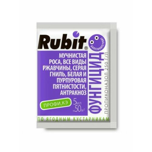  Rubit     5  933