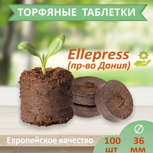   ELLEPRESS 36  100  1299