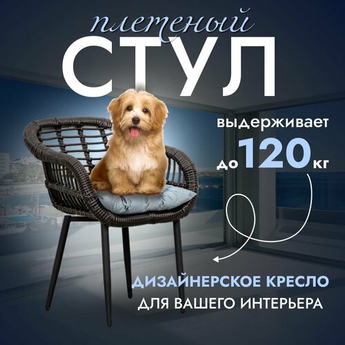 ������� ������ ������ 1 ��, ����, ������ ������ �� 10990 ���