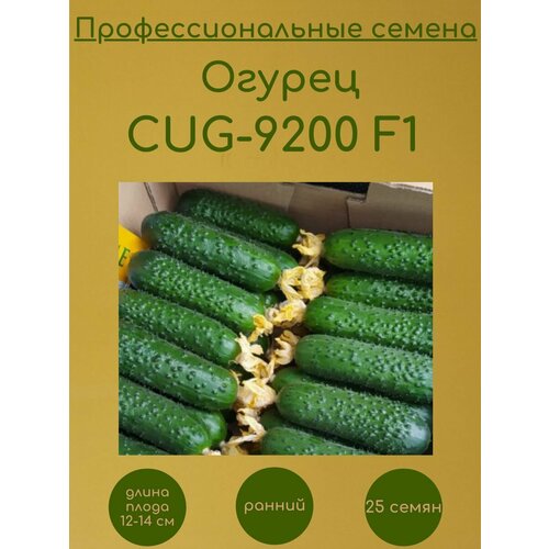  CUG-9200 F1 ( F1) 25  390