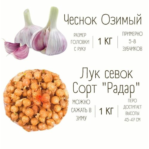 ����� ������ ������ � ��� ����� 1 ��, ����, ������ ������ �� 1100 ���