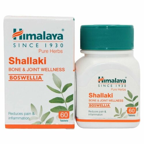  ()  / Shallaki Himalaya, 60  589