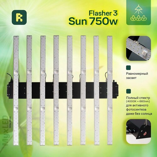  Flasher 3.0 Sun 59900