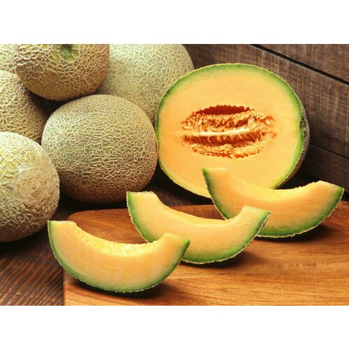    (. Cucumis melo var. cantalupensis)  20 370