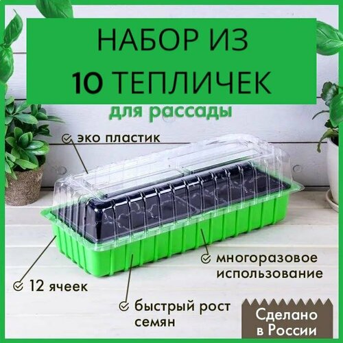 ���� ������ ��� ������� 10 ��, ����, ������ ������ �� 2124 ���