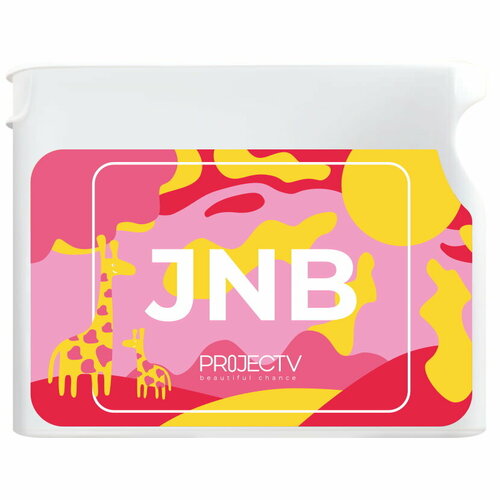  JNB (  )  Project V (Vision), ,    4000 