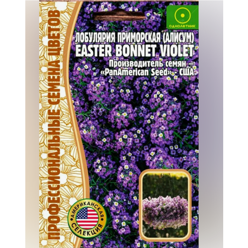  () Easter Bonnet Violet 20 .   (2  ), ,    440 