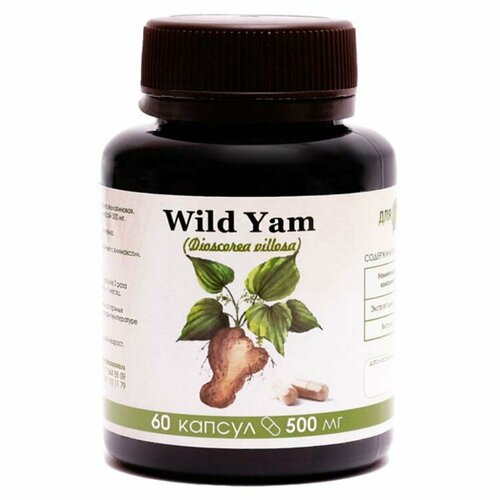   Wild Yam 60  1350