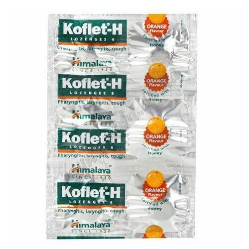  -  (Koflet-H Orange )   /    /, 30 . 737