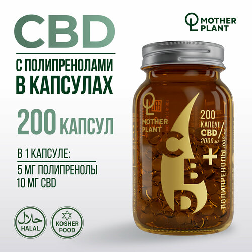  CBD     (200   10 ), Motherplant 5400