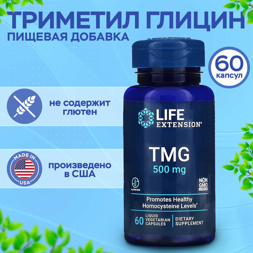   500 . Life Extension TMG 60  2500