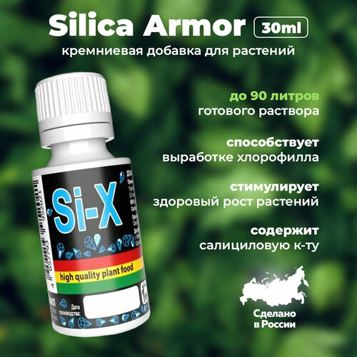      ,   /   Rastea Silica Armor 30 ml 599