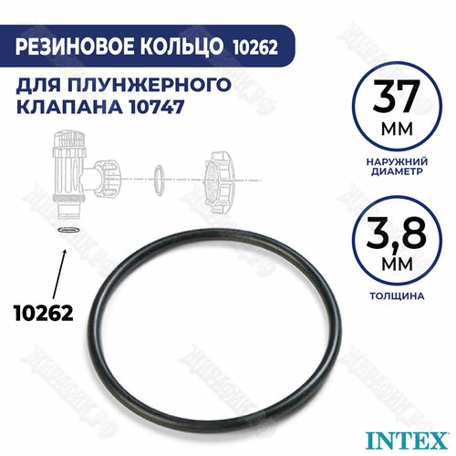   Intex 10262  .    38 183