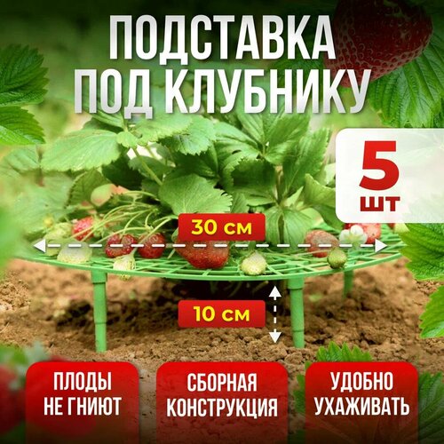 ��������� ��� ��������, ��������������, ����� ��� �������� 5��, ����, ������ ������ �� 434 ���