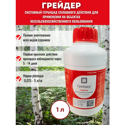 ������� - �������� 1 �, Avgust (������) ������, ����, ������ ������ �� 4530 ���