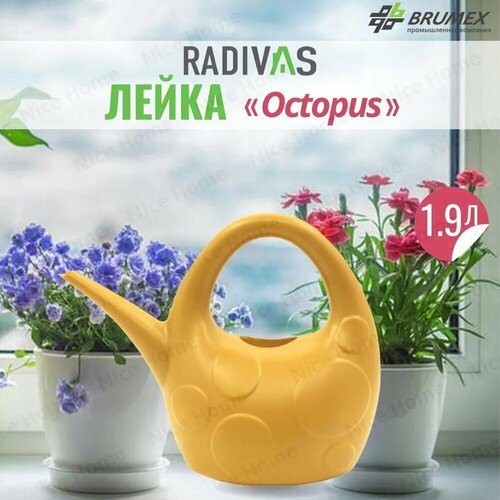 Radivas     Octopus  H1-01-37,    263