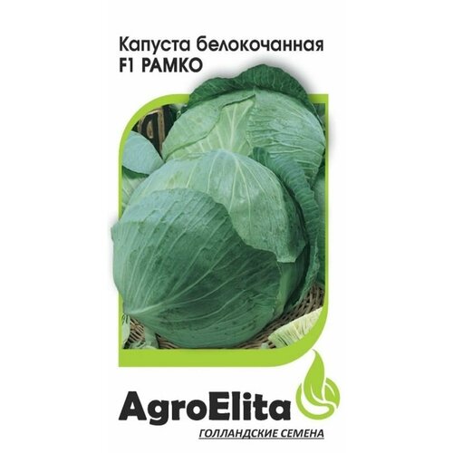     F1 . (AgroElita) 10, ,    59 