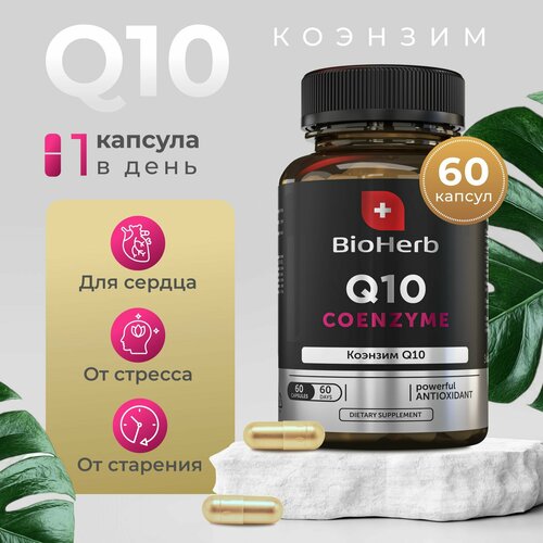 BioHerb   Q10,     , 60  932