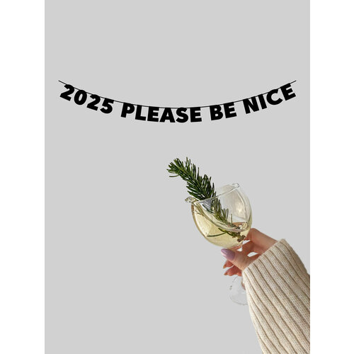      - 2025 please be nice 850