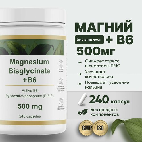    500     B6 (p-5-p) 240  Restartbio magnesium chelate bisglycinate b6    1870