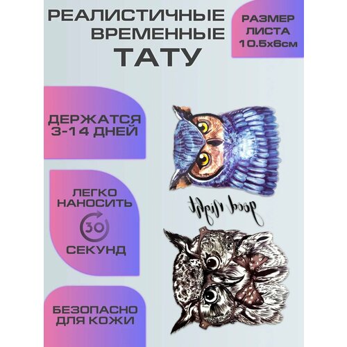 ���� ����������, ��������� ���������� �������� ����, ����, ������ ������ �� 799 ���