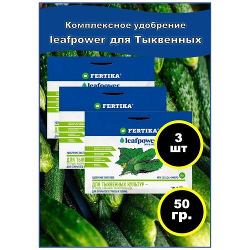   LEAF POWER 50 -    (, , ).  - 3 . 428