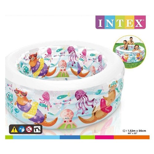    INTEX &quotLittle Otter Pool" (),  6 , 15256  int58480NP 7315