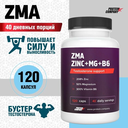 ZMA+ Zn+Mg+B6.  , ,  / /6, 40 , 120 .  776  535