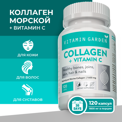       . ,   ,     , Collagen, 120 . 735