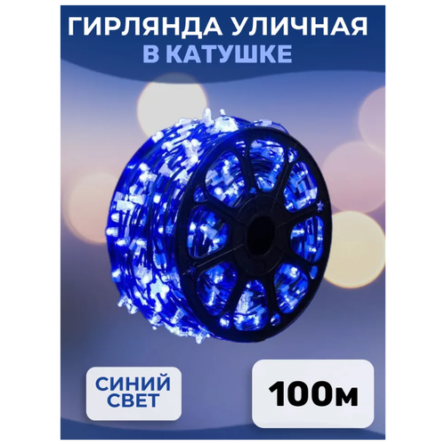  -  100  \    100      220\ NewLamp 2199