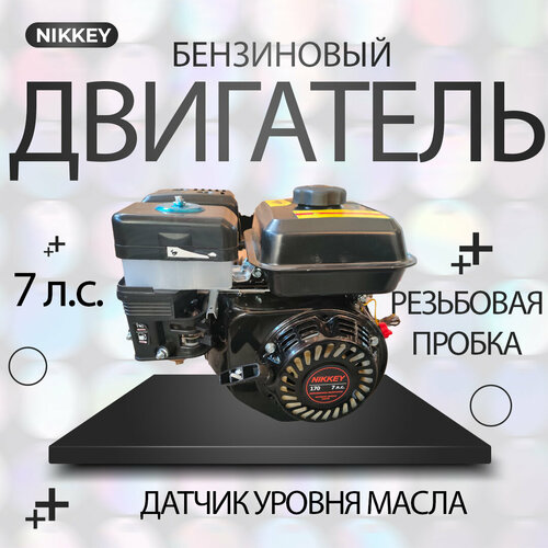   NIKKEY 7; ,  25 ,   36       10000