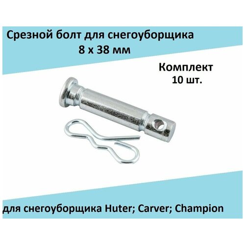   ( 10 .) 838    Huter; Carver; Champion 1989