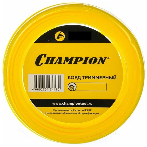     CHAMPION C5025, 2.4, 12 290