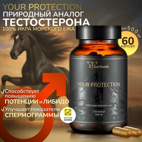 YOUR PROTECTION - 100%   .    . (60 ), ,    7500 