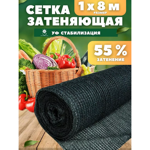 ����� ���������� �������, ��������� 55%, ������ 1�8�, ����, ������ ������ �� 561 ���