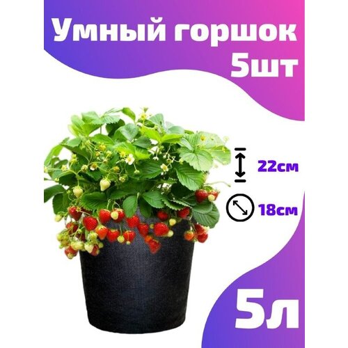    , ,  Smart Pot - 5  5 . 500