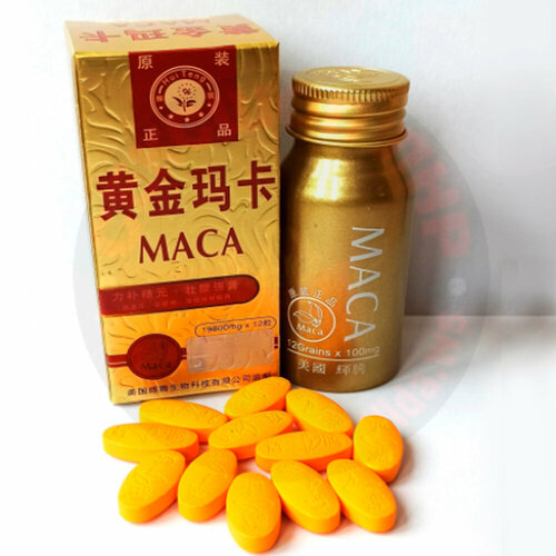   MACA,    ,  ,   (12 ) 990