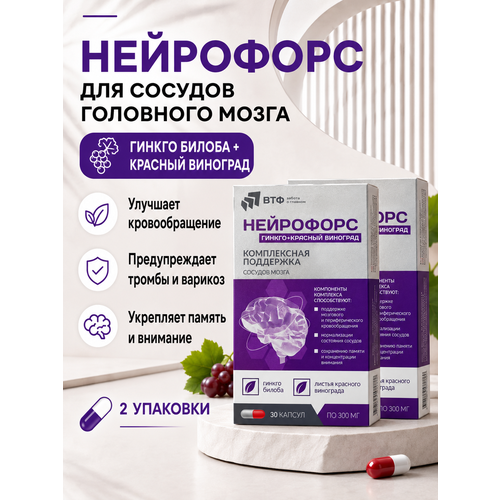 ��������� ������+������� ��������, �������, ���, ��� �������� �������, ����� � ������ �30, ����, ������ ������ �� 955 ���