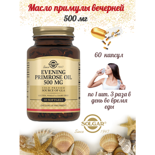     Evening Primrose Oil Solgar 500  60 , ,    2587 