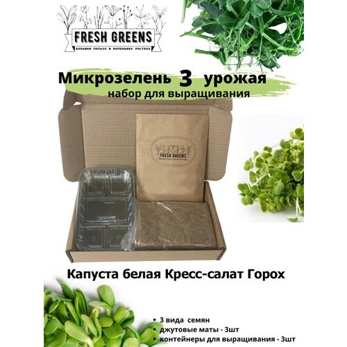     Fresh Greens (  - ), ,    386 