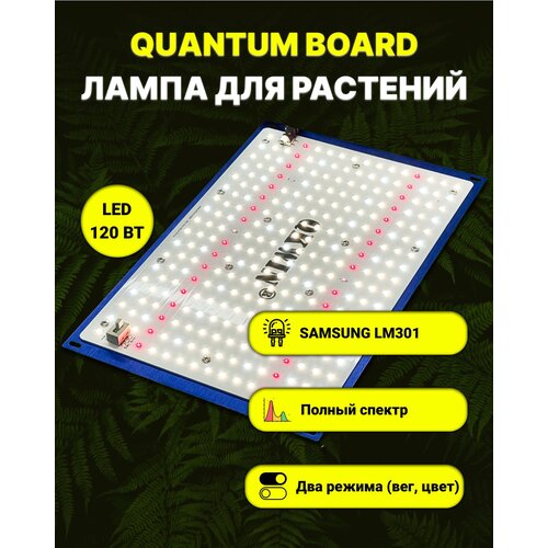   /   / quantum board/  / 120 / Mean Well/  Samsung LM-301. 5000, UV, IR, ,    10300 