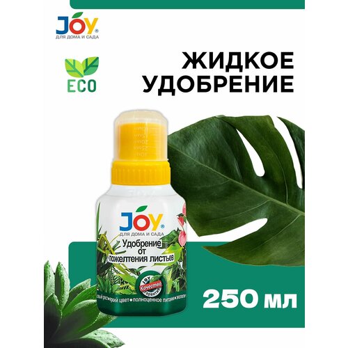    JOY   , 250 365