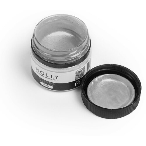 Holly Professional     /   ,    Color Gel Silver 700