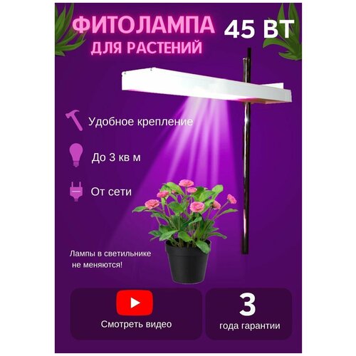    LED 45W     , ,    2400 